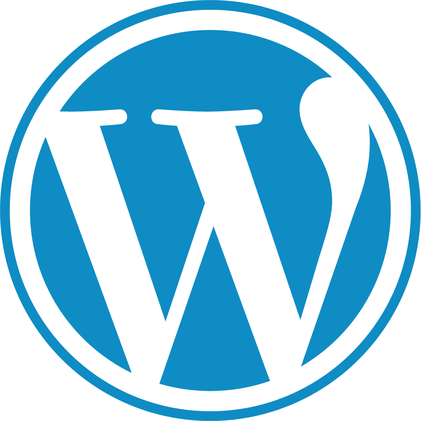 Services digital marketing in surat wordpress logo