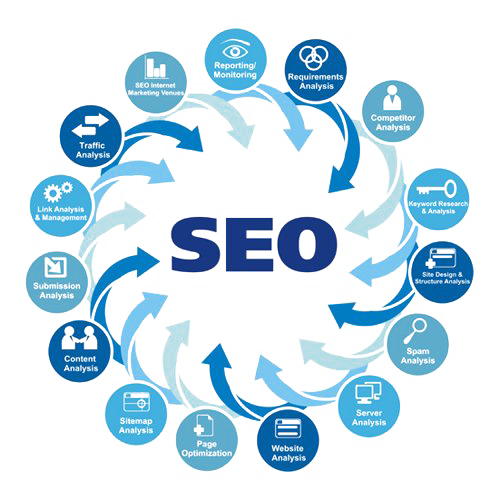 SEO Expert in Surat